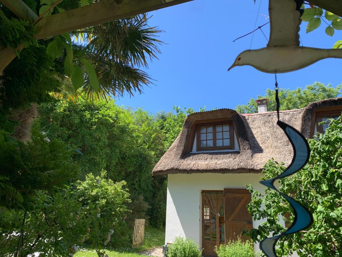 La Flore Marine Saint-Jouin-Bruneval Exteriér fotografie