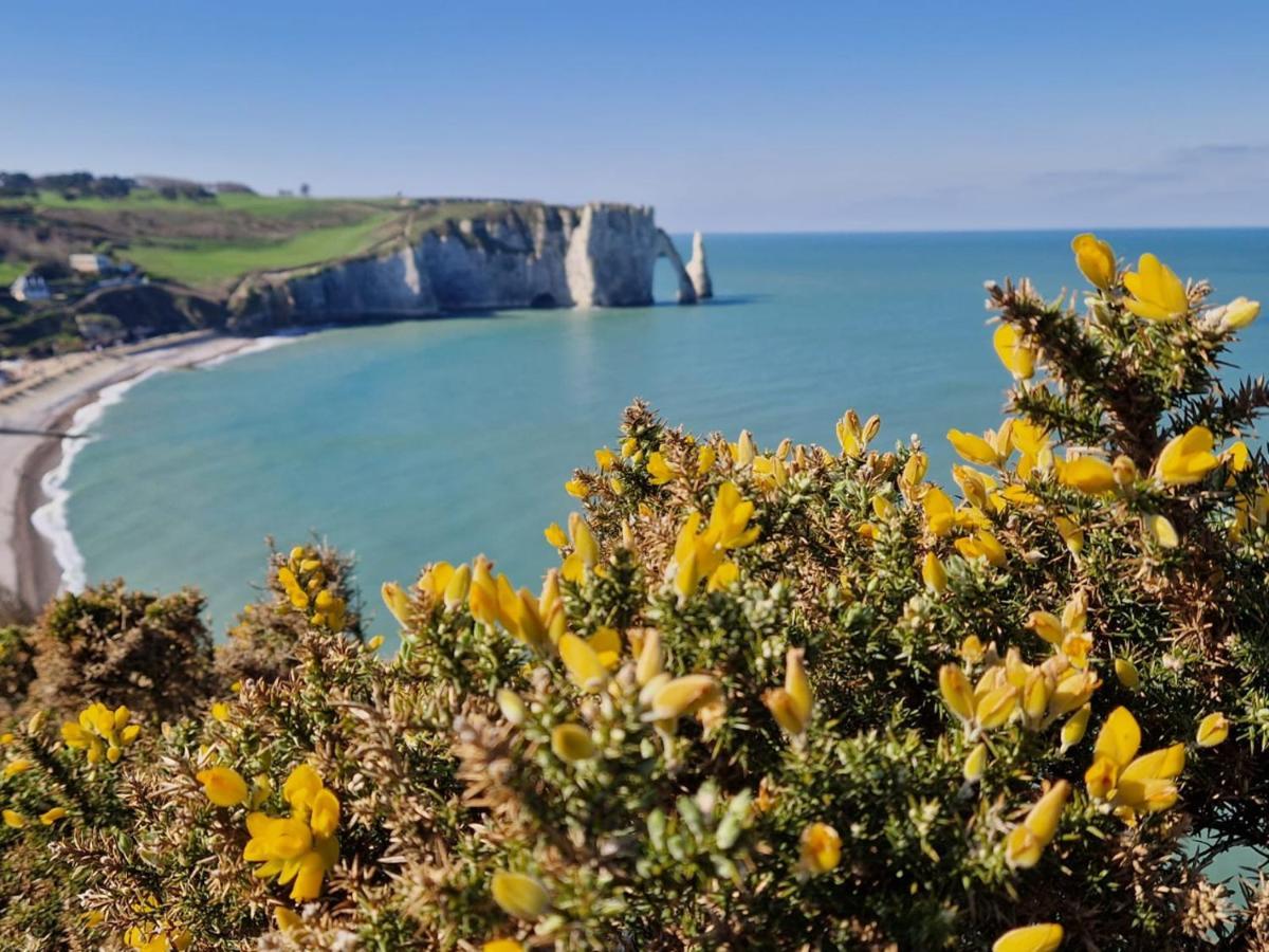La Flore Marine Saint-Jouin-Bruneval Exteriér fotografie