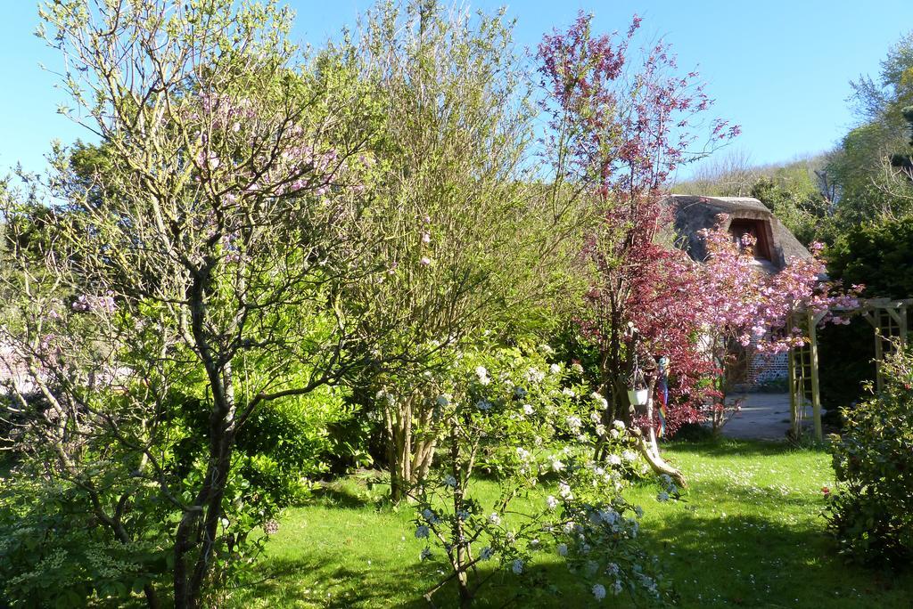 La Flore Marine Saint-Jouin-Bruneval Exteriér fotografie